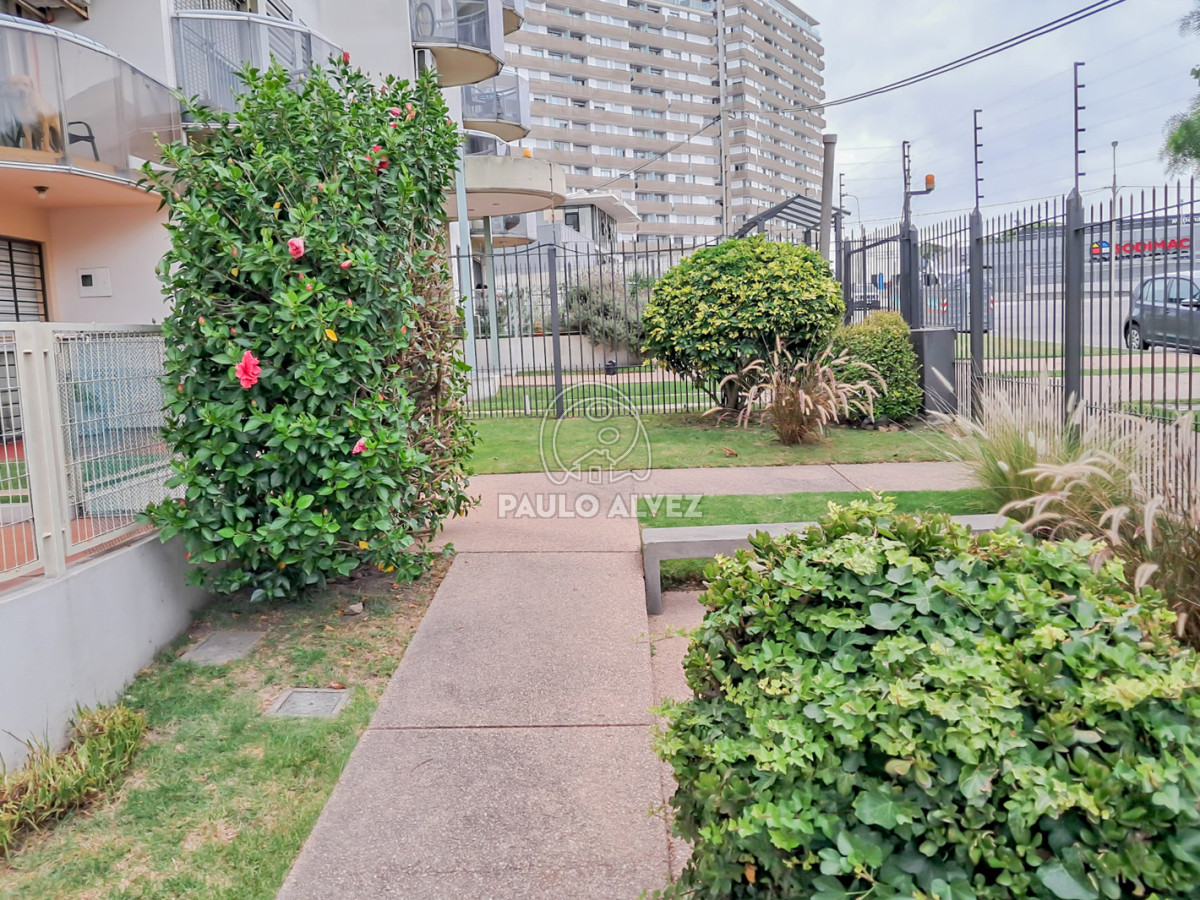 Buceo - GoPunta - Portal Inmobiliario de Punta del Este - Maldonado