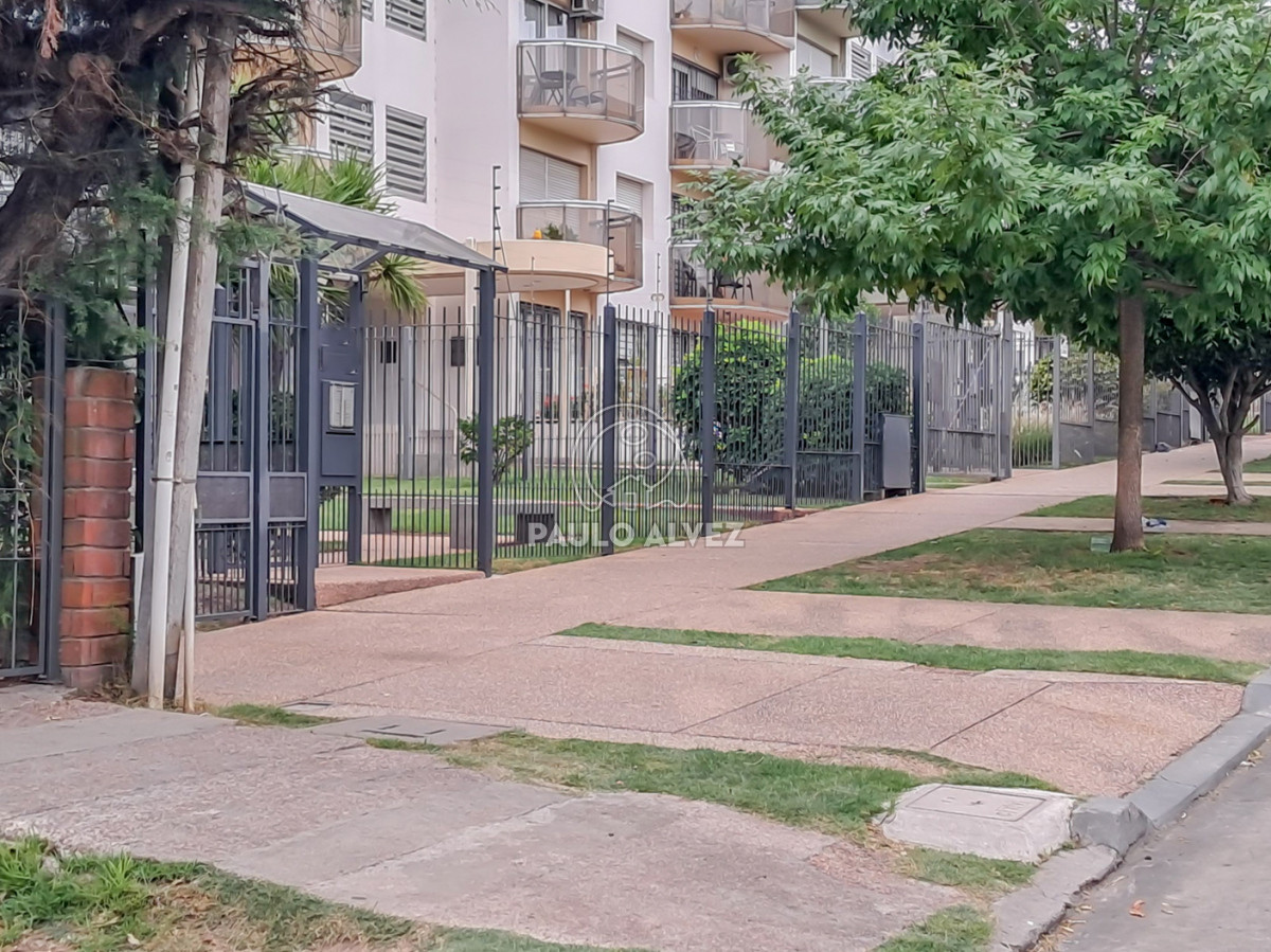 Buceo - GoPunta - Portal Inmobiliario de Punta del Este - Maldonado
