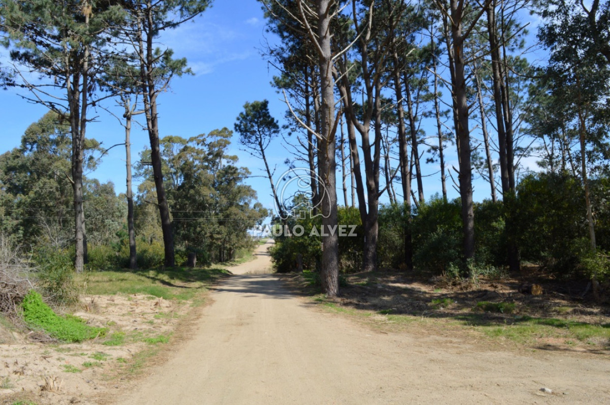 Punta Colorada - GoPunta - Portal Inmobiliario de Punta del Este - Maldonado