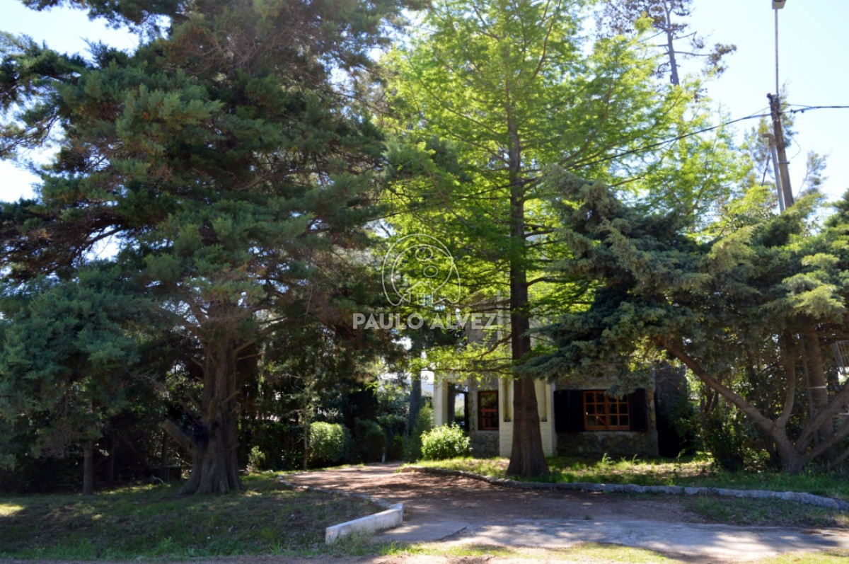 San Francisco - GoPunta - Portal Inmobiliario de Punta del Este - Maldonado