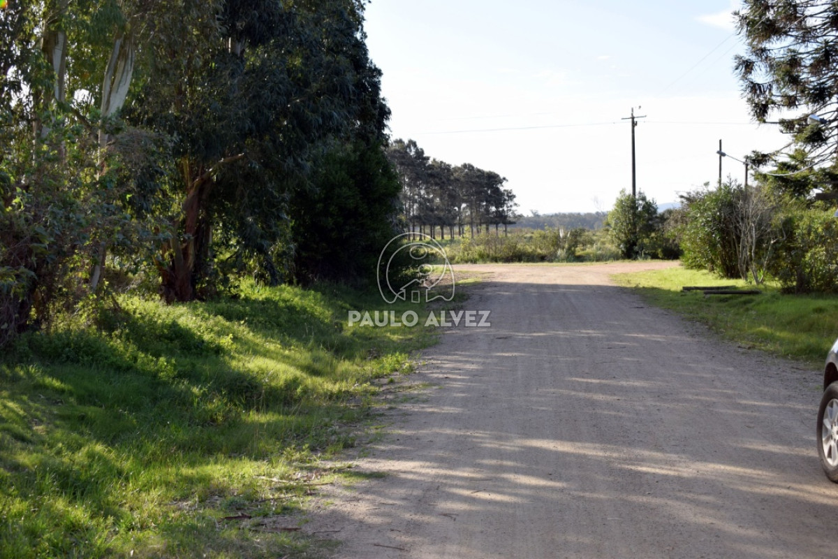 Bella Vista - GoPunta - Portal Inmobiliario de Punta del Este - Maldonado