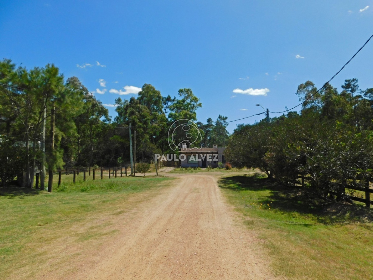 Punta Colorada - GoPunta - Portal Inmobiliario de Punta del Este - Maldonado