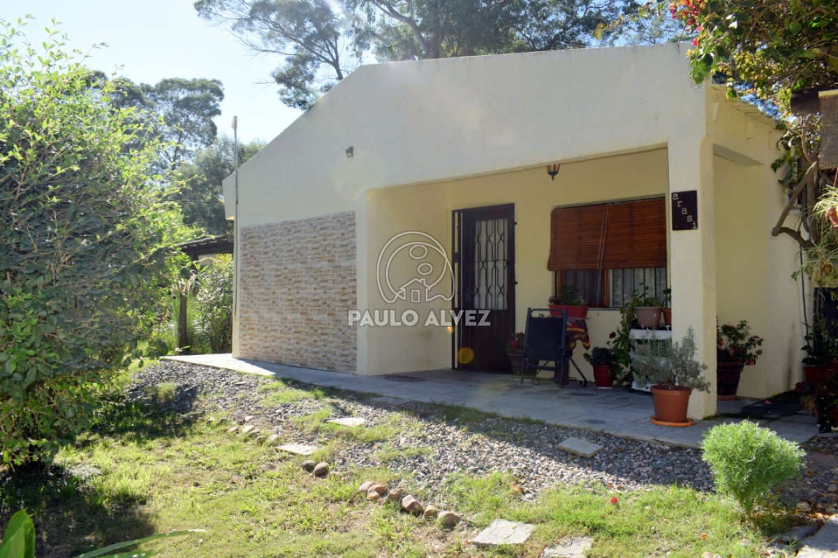 Arasí
