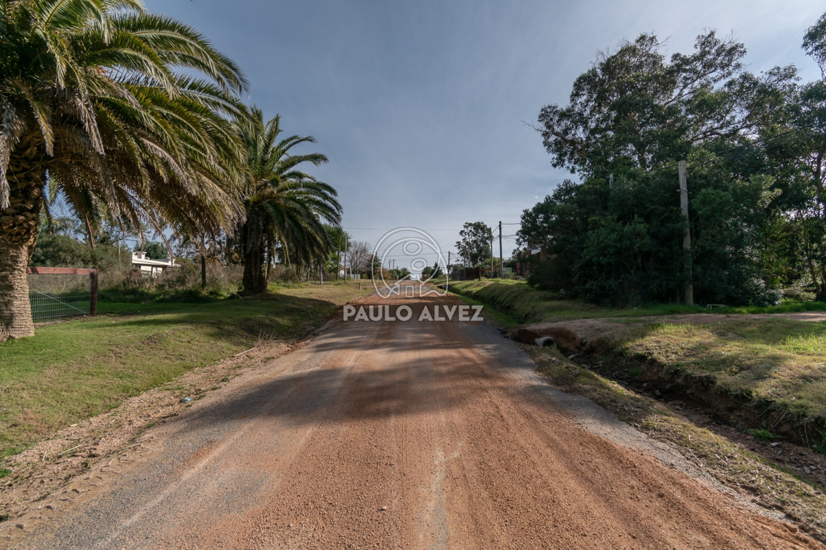 Punta Fria - GoPunta - Portal Inmobiliario de Punta del Este - Maldonado