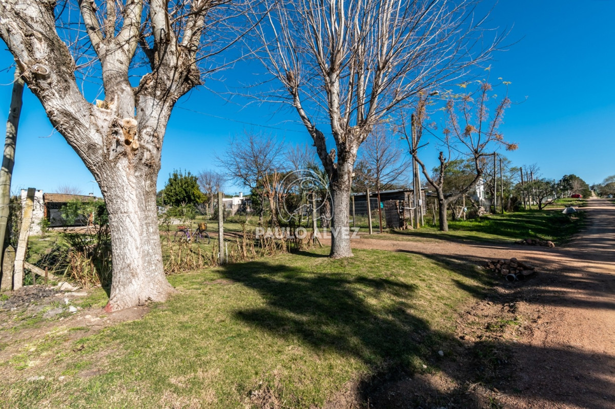 Piriápolis - GoPunta - Portal Inmobiliario de Punta del Este - Maldonado