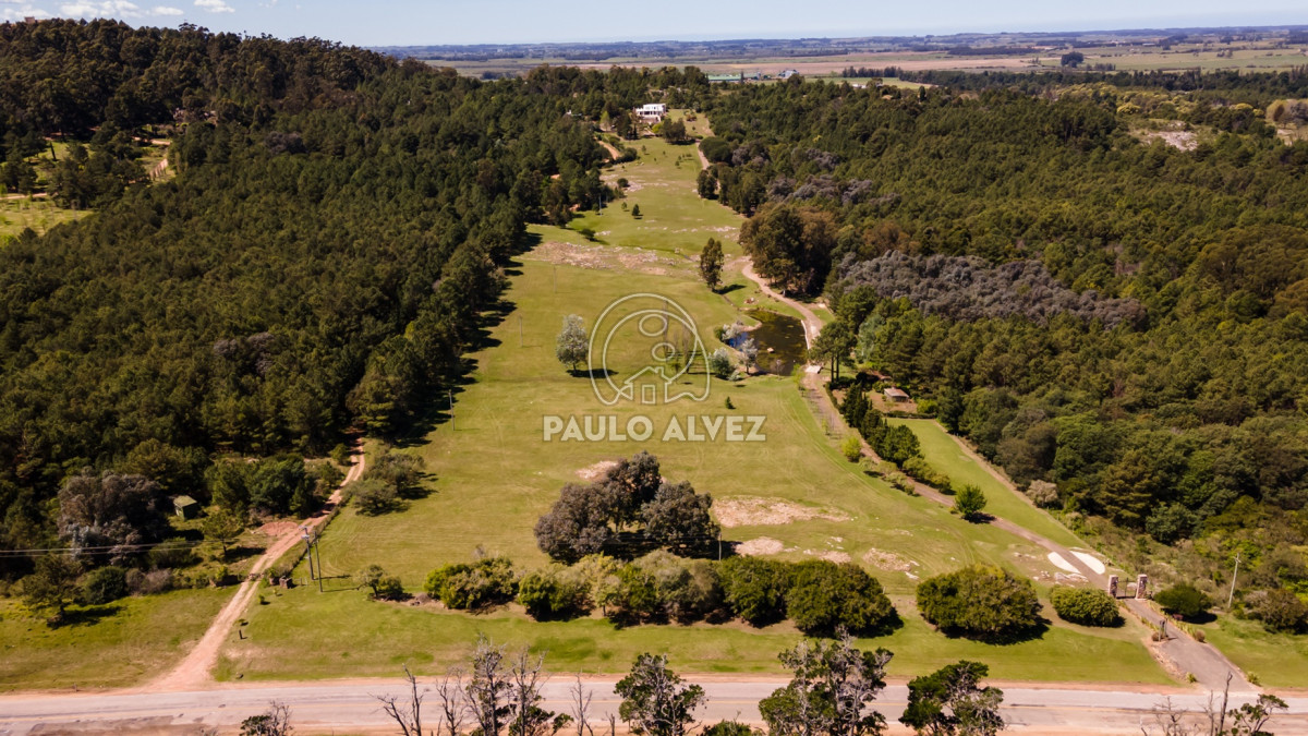 Punta Ballena - GoPunta - Portal Inmobiliario de Punta del Este - Maldonado