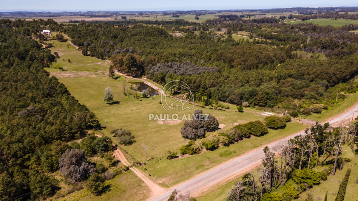 Punta Ballena - GoPunta - Portal Inmobiliario de Punta del Este - Maldonado