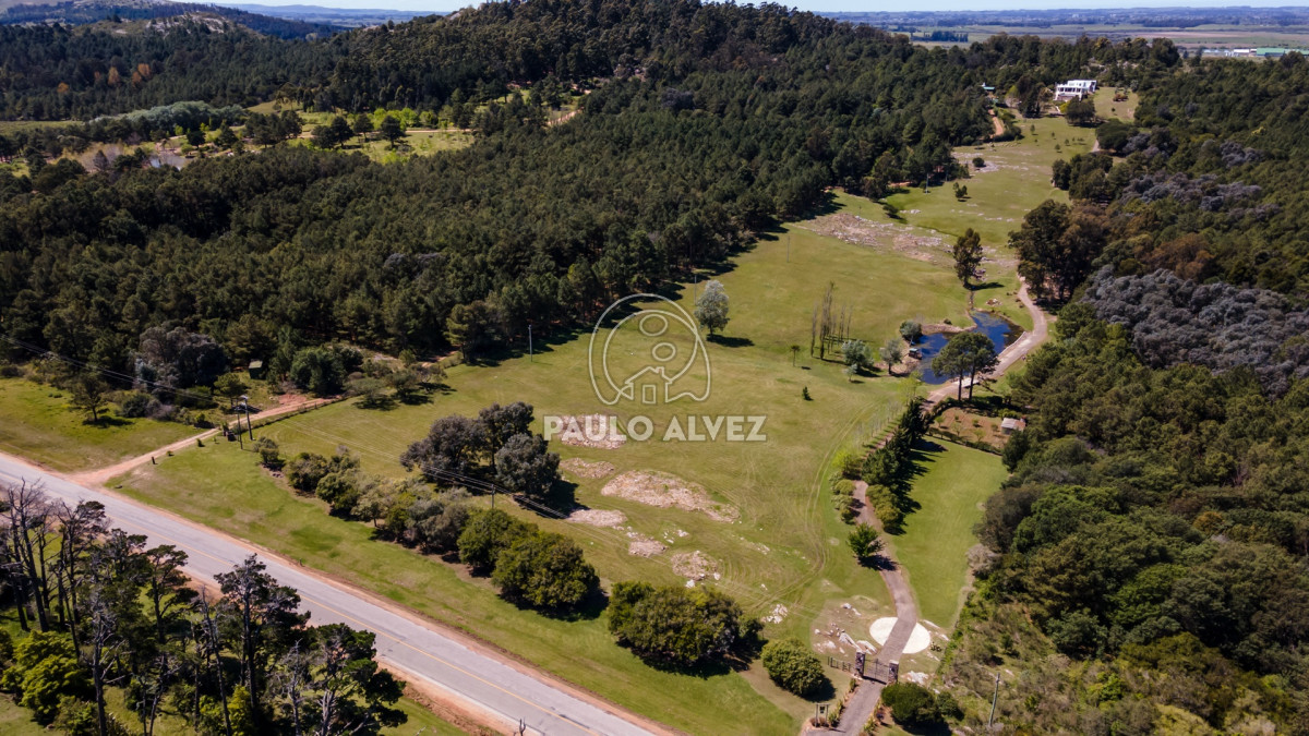Punta Ballena - GoPunta - Portal Inmobiliario de Punta del Este - Maldonado