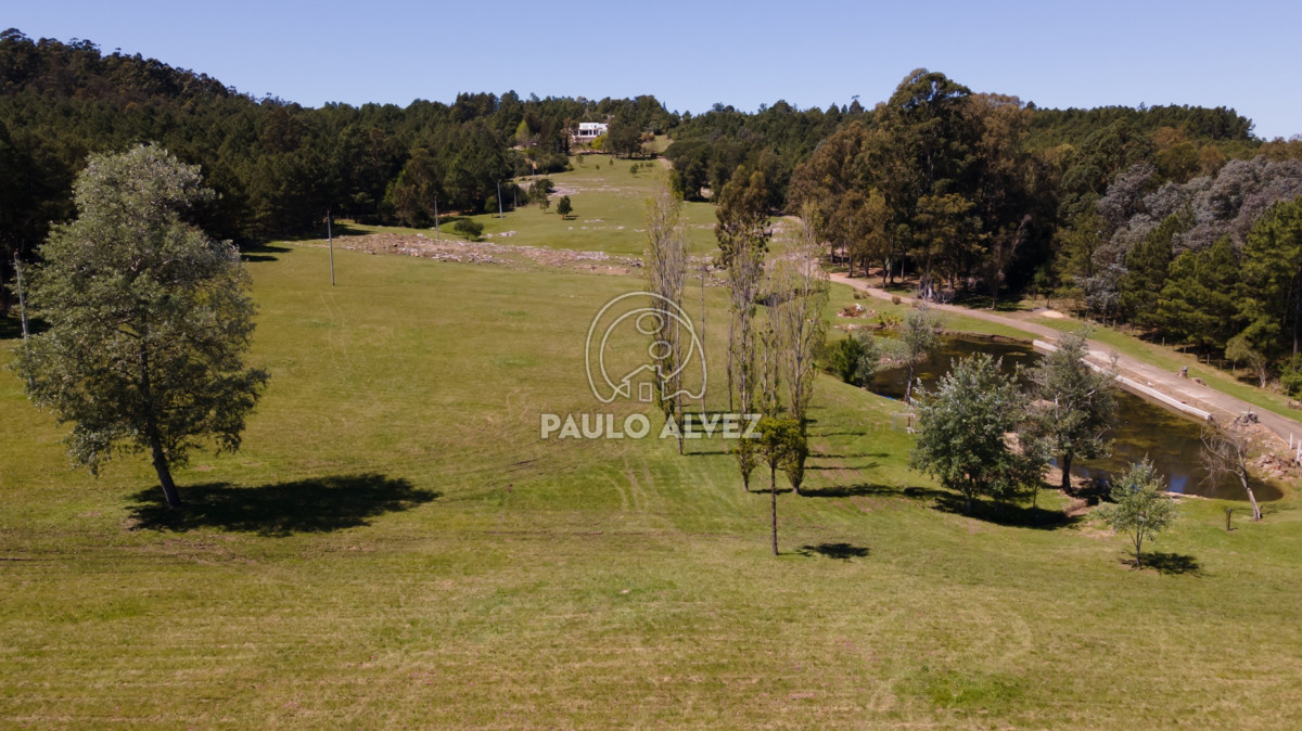 Punta Ballena - GoPunta - Portal Inmobiliario de Punta del Este - Maldonado