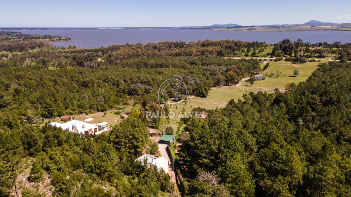 Punta Ballena - GoPunta - Portal Inmobiliario de Punta del Este - Maldonado