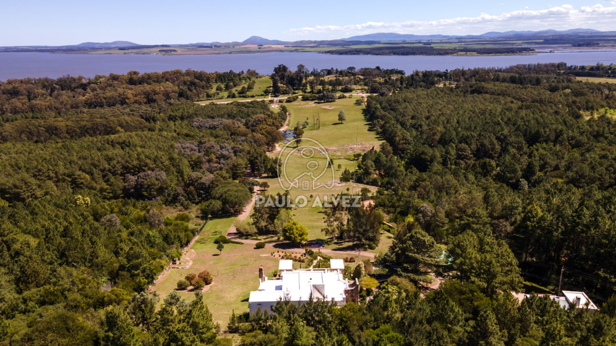 Punta Ballena - GoPunta - Portal Inmobiliario de Punta del Este - Maldonado