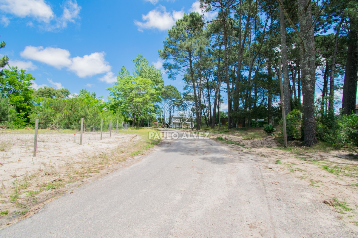 Piriápolis - GoPunta - Portal Inmobiliario de Punta del Este - Maldonado