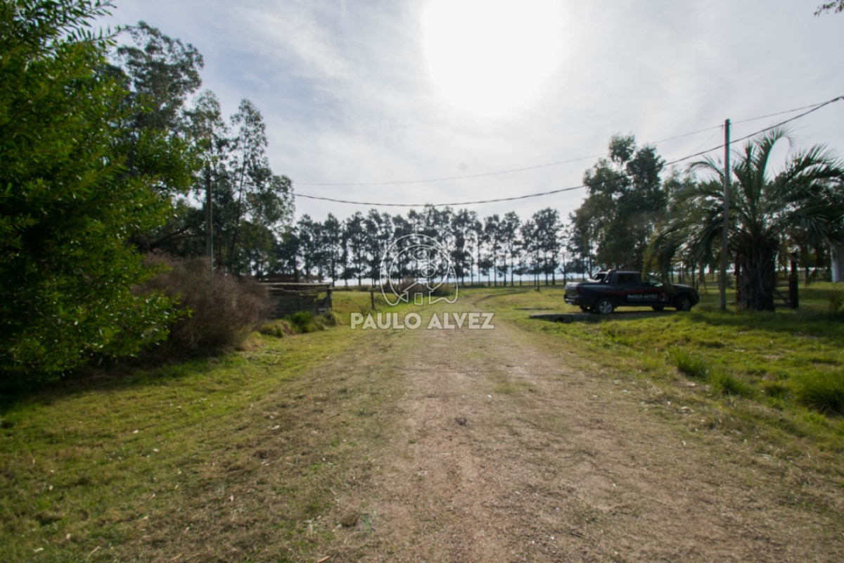 Bella Vista - GoPunta - Portal Inmobiliario de Punta del Este - Maldonado