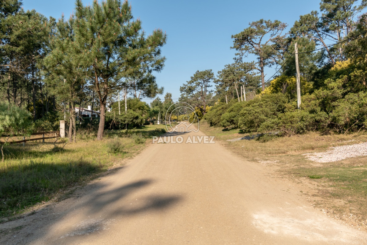 Punta Colorada - GoPunta - Portal Inmobiliario de Punta del Este - Maldonado