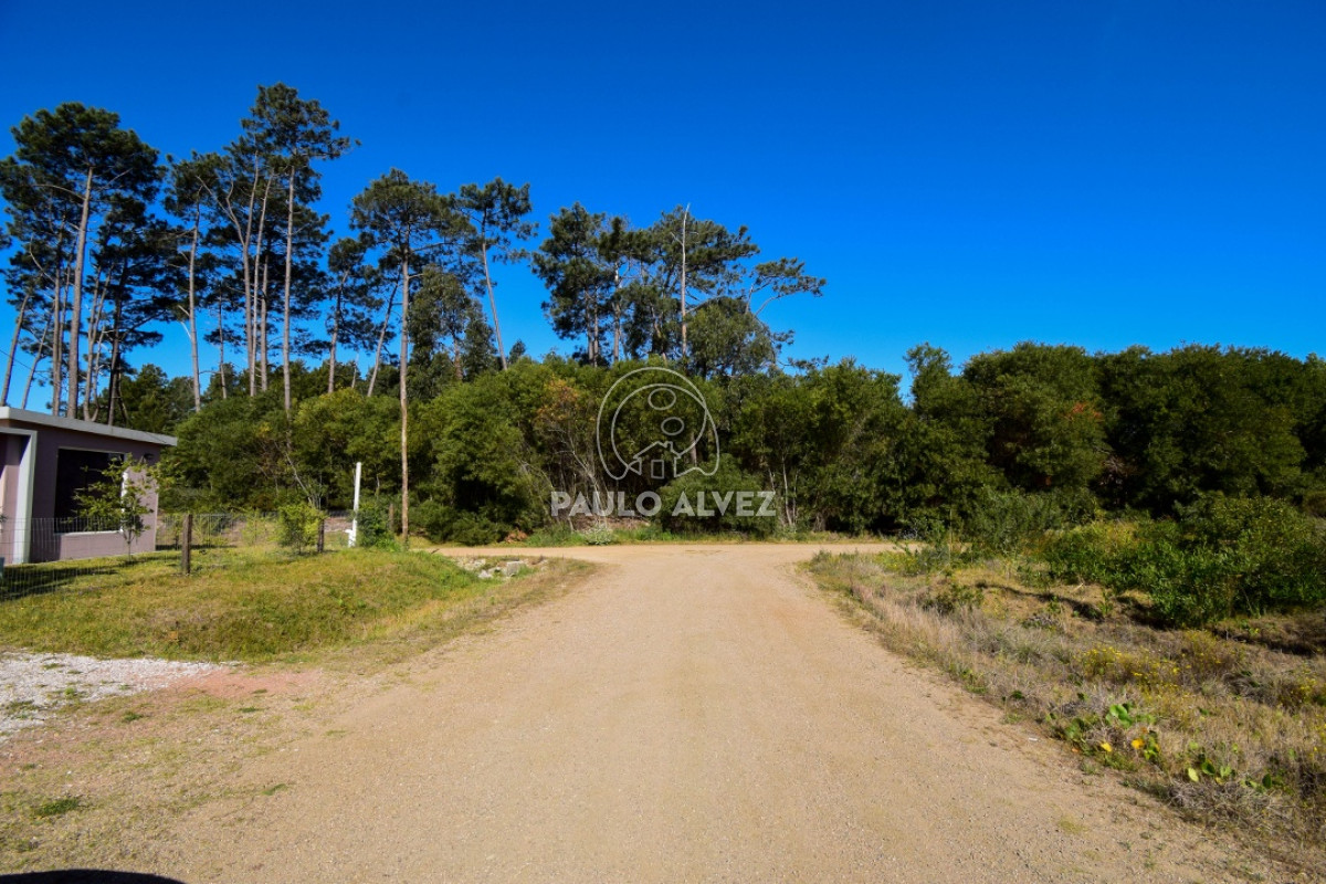 Piriápolis - GoPunta - Portal Inmobiliario de Punta del Este - Maldonado