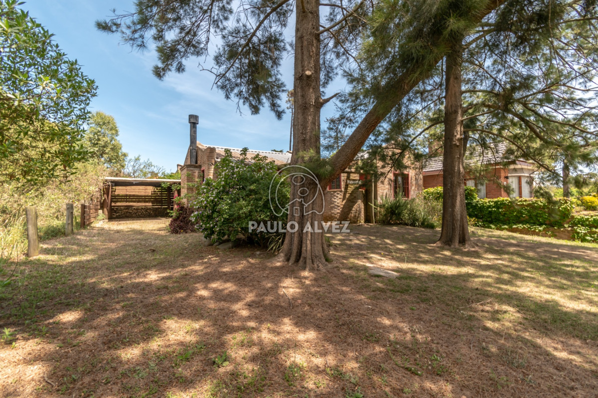 San Francisco - GoPunta - Portal Inmobiliario de Punta del Este - Maldonado