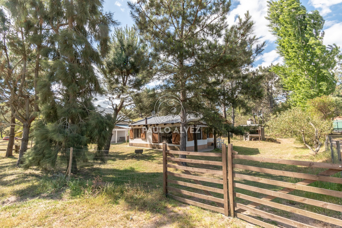 Punta Colorada - GoPunta - Portal Inmobiliario de Punta del Este - Maldonado