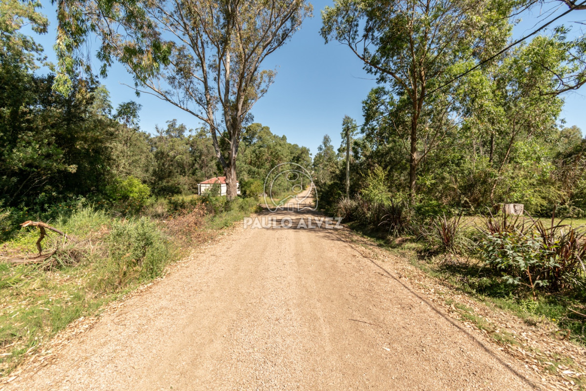 Punta Colorada - GoPunta - Portal Inmobiliario de Punta del Este - Maldonado