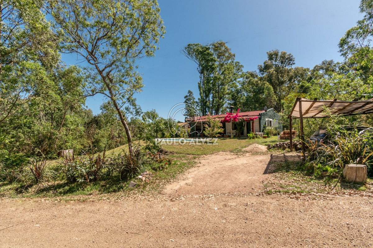 Punta Colorada - GoPunta - Portal Inmobiliario de Punta del Este - Maldonado