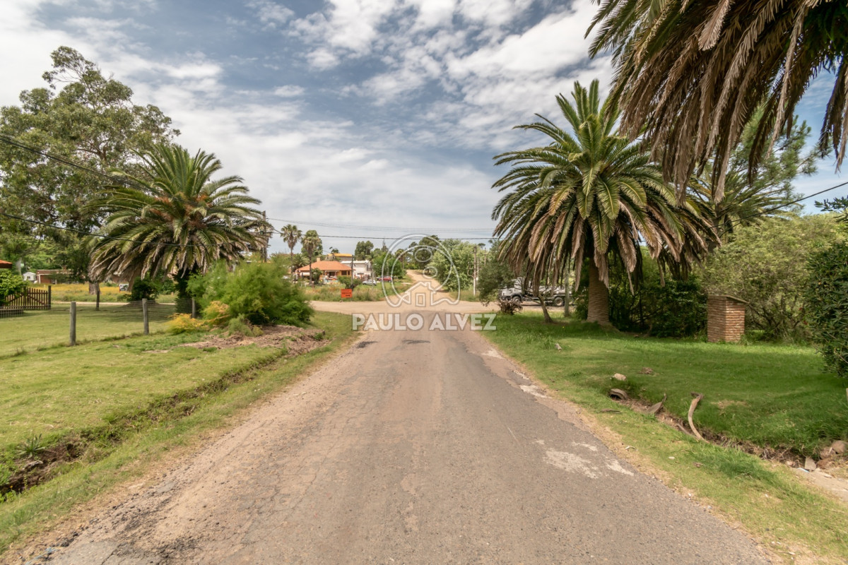 San Francisco - GoPunta - Portal Inmobiliario de Punta del Este - Maldonado