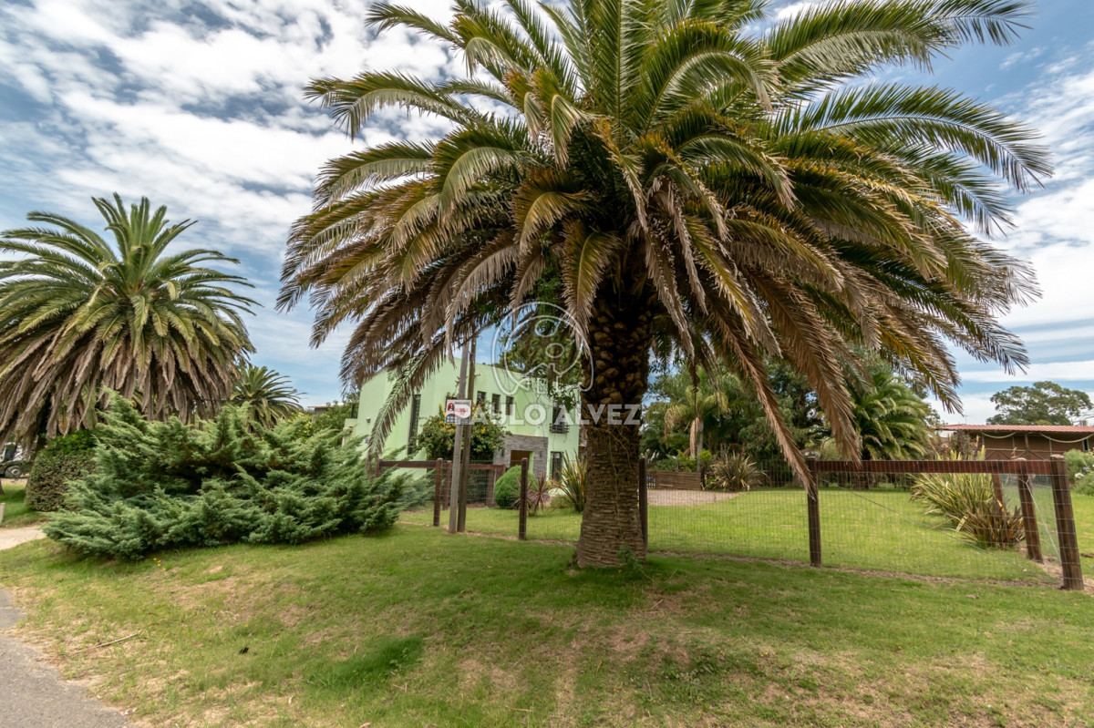 San Francisco - GoPunta - Portal Inmobiliario de Punta del Este - Maldonado