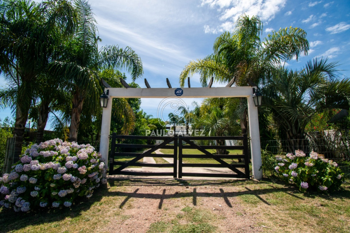 Playa Grande - GoPunta - Portal Inmobiliario de Punta del Este - Maldonado