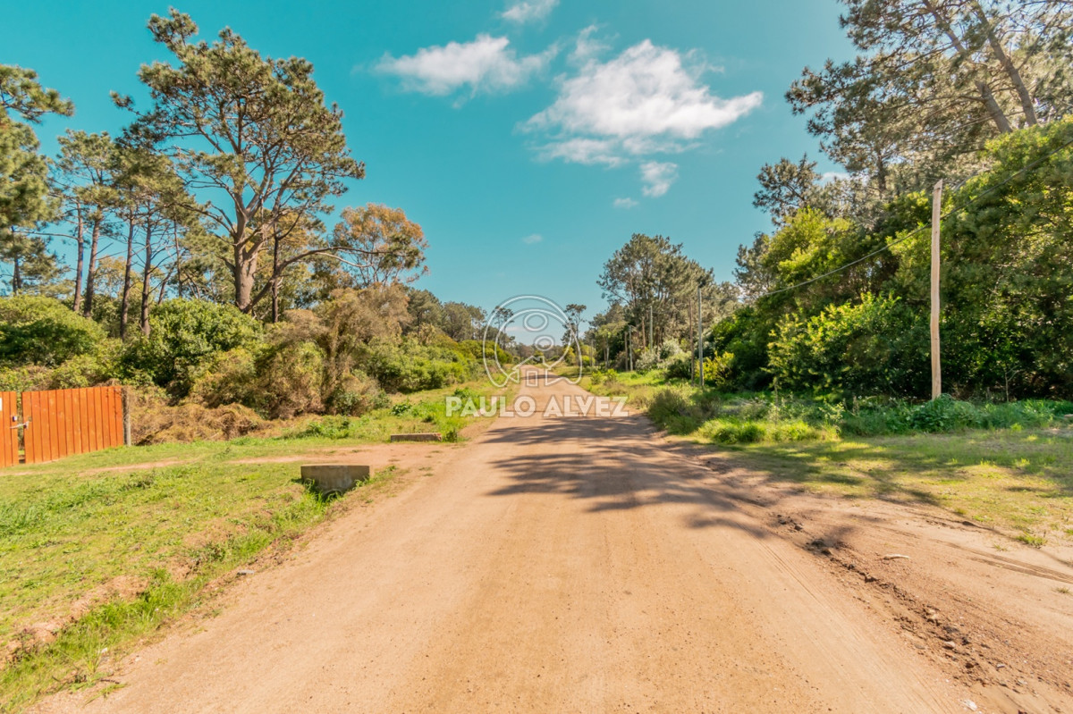Punta Colorada - GoPunta - Portal Inmobiliario de Punta del Este - Maldonado