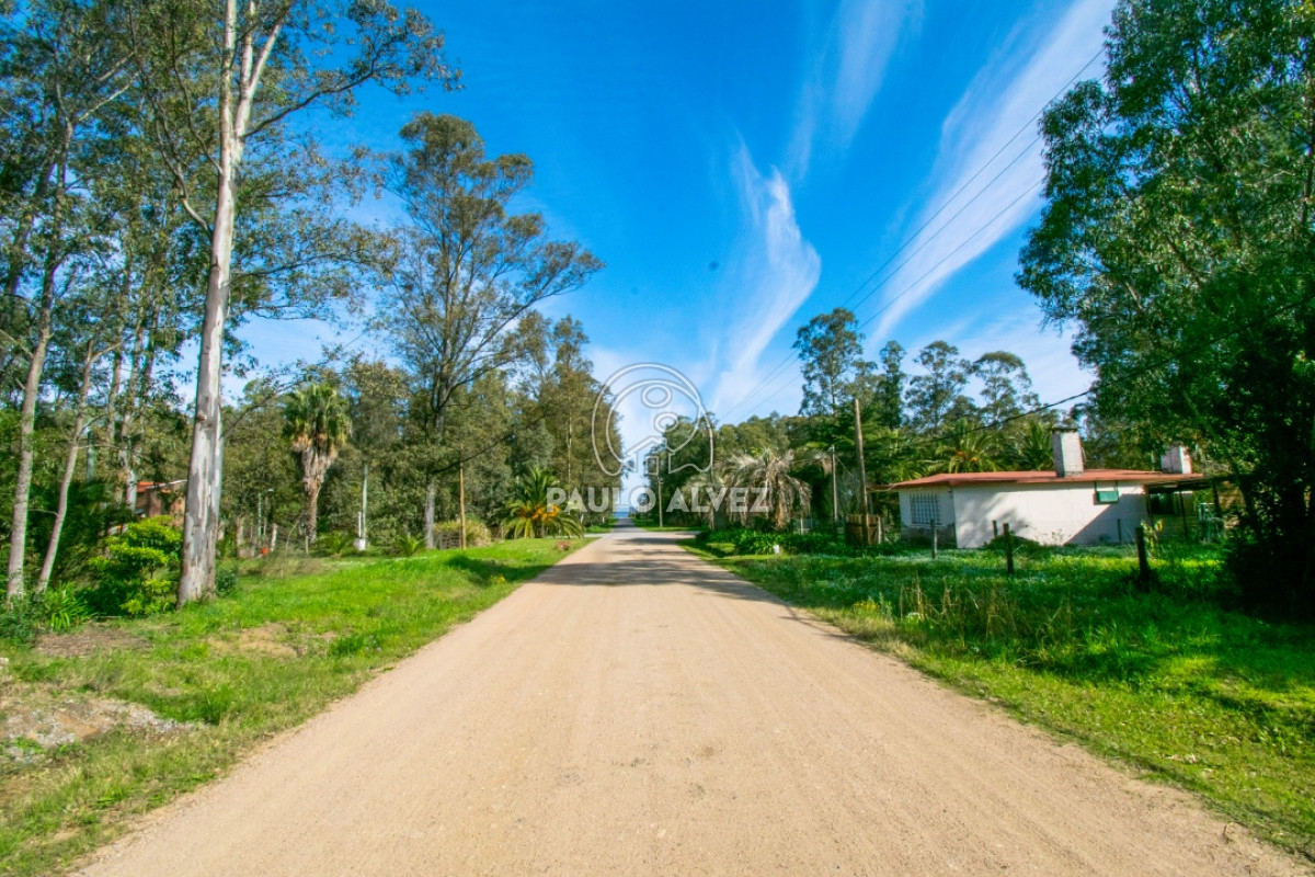 Bella Vista - GoPunta - Portal Inmobiliario de Punta del Este - Maldonado