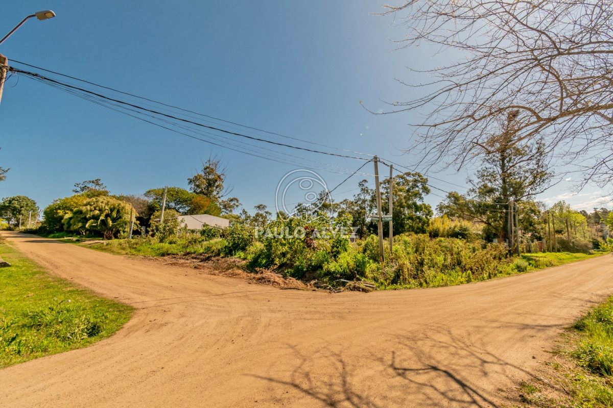 San Francisco - GoPunta - Portal Inmobiliario de Punta del Este - Maldonado