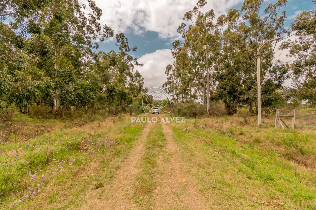 Barra Portezuelo - GoPunta - Portal Inmobiliario de Punta del Este - Maldonado