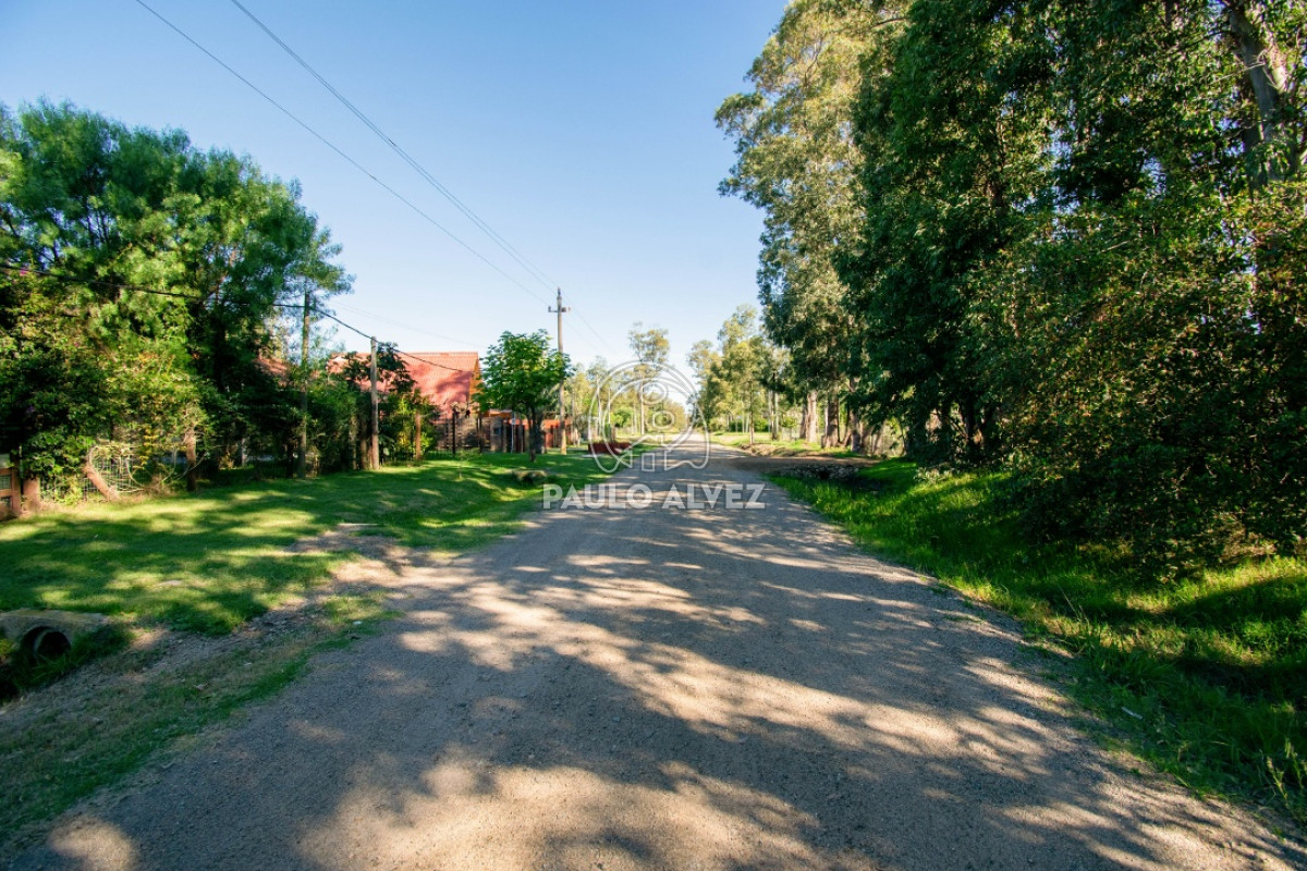 Bella Vista - GoPunta - Portal Inmobiliario de Punta del Este - Maldonado