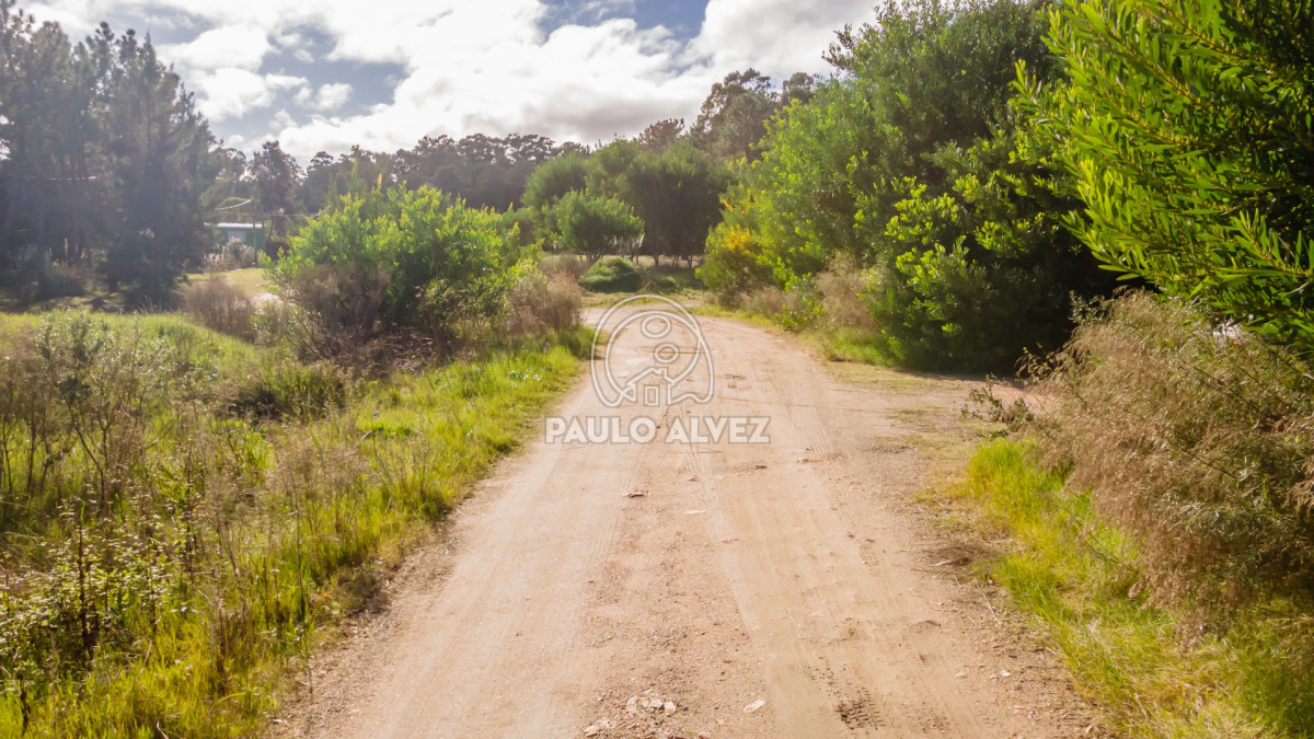 Punta Colorada - GoPunta - Portal Inmobiliario de Punta del Este - Maldonado