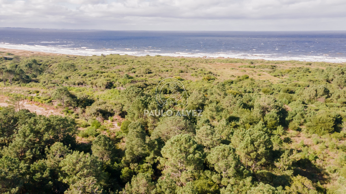 Punta Colorada - GoPunta - Portal Inmobiliario de Punta del Este - Maldonado