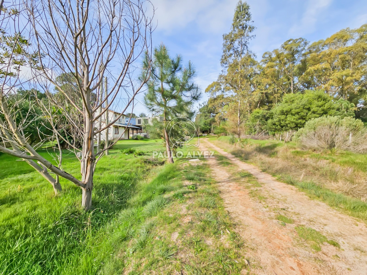 Punta Colorada - GoPunta - Portal Inmobiliario de Punta del Este - Maldonado