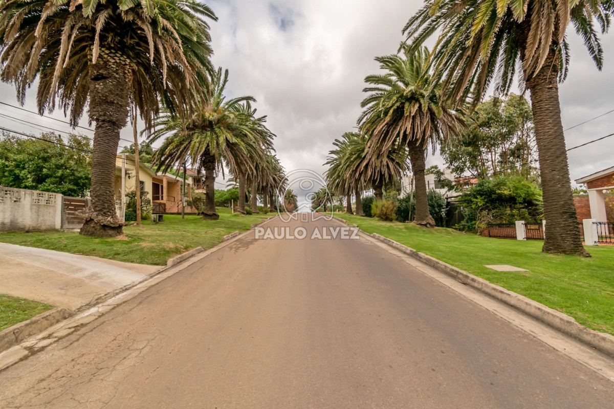 Punta Fria - GoPunta - Portal Inmobiliario de Punta del Este - Maldonado