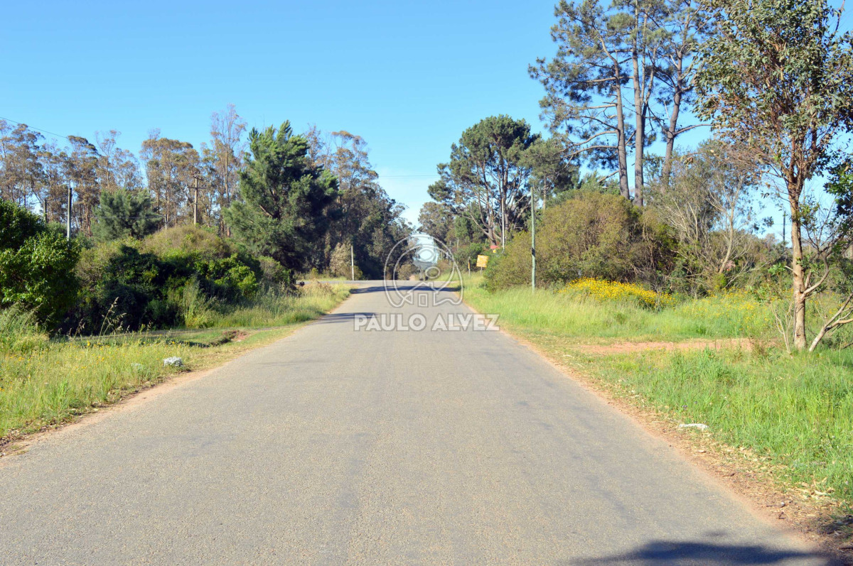 Punta Colorada - GoPunta - Portal Inmobiliario de Punta del Este - Maldonado