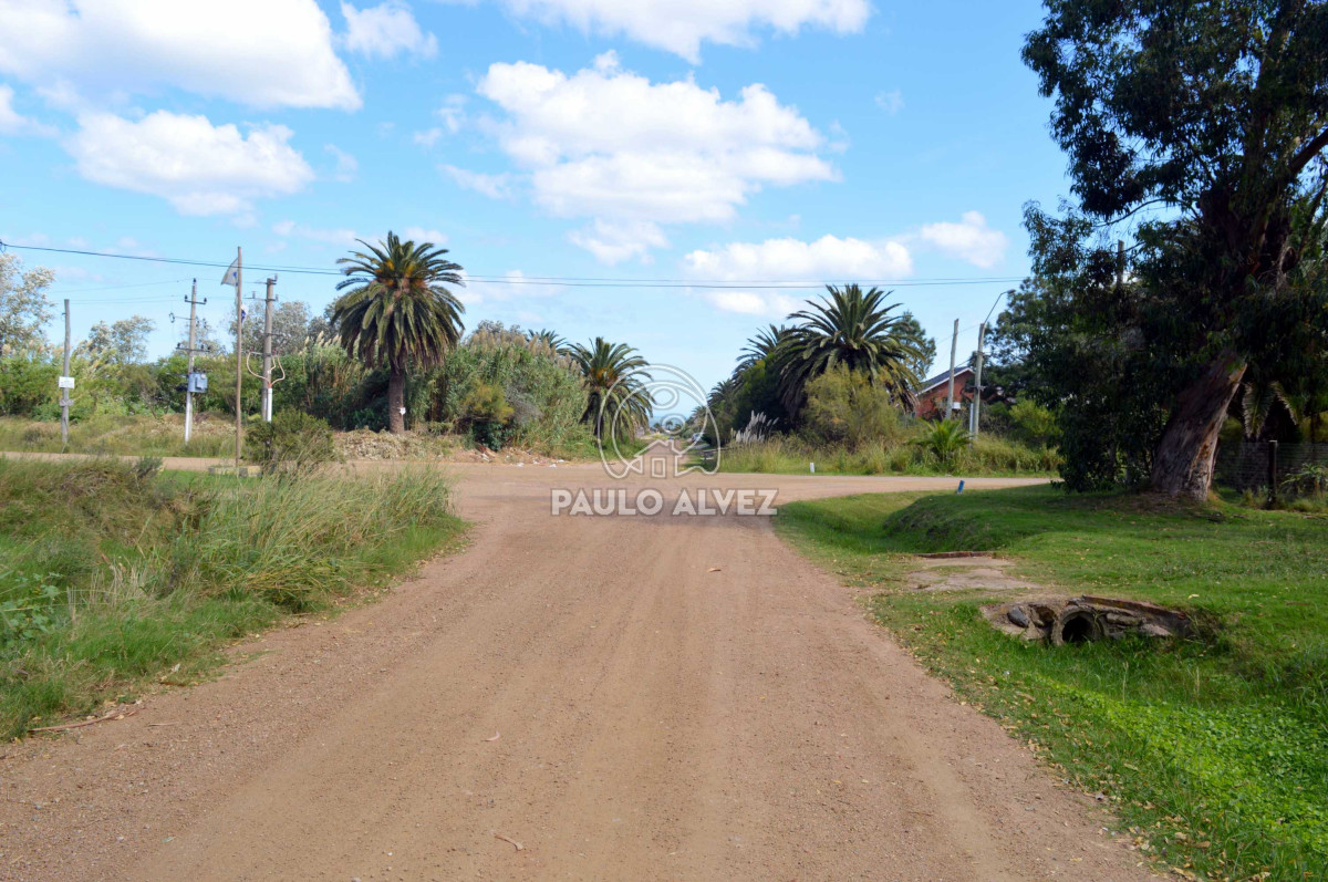 San Francisco - GoPunta - Portal Inmobiliario de Punta del Este - Maldonado