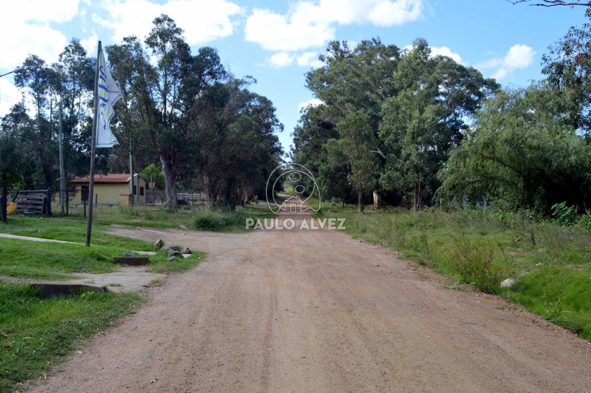 San Francisco - GoPunta - Portal Inmobiliario de Punta del Este - Maldonado