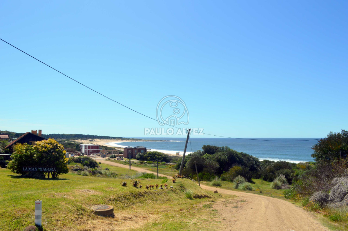 Punta Colorada - GoPunta - Portal Inmobiliario de Punta del Este - Maldonado