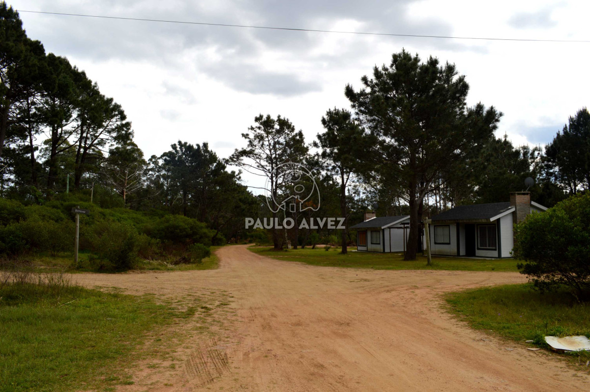 Punta Colorada - GoPunta - Portal Inmobiliario de Punta del Este - Maldonado