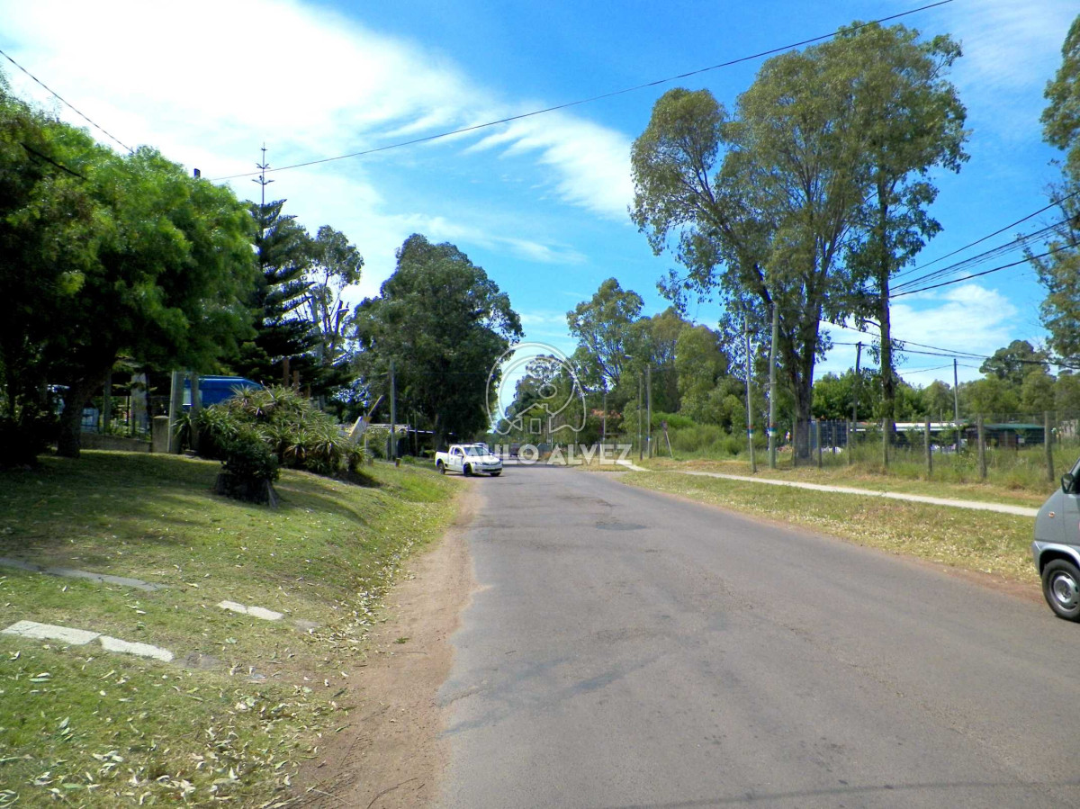 Playa Grande - GoPunta - Portal Inmobiliario de Punta del Este - Maldonado