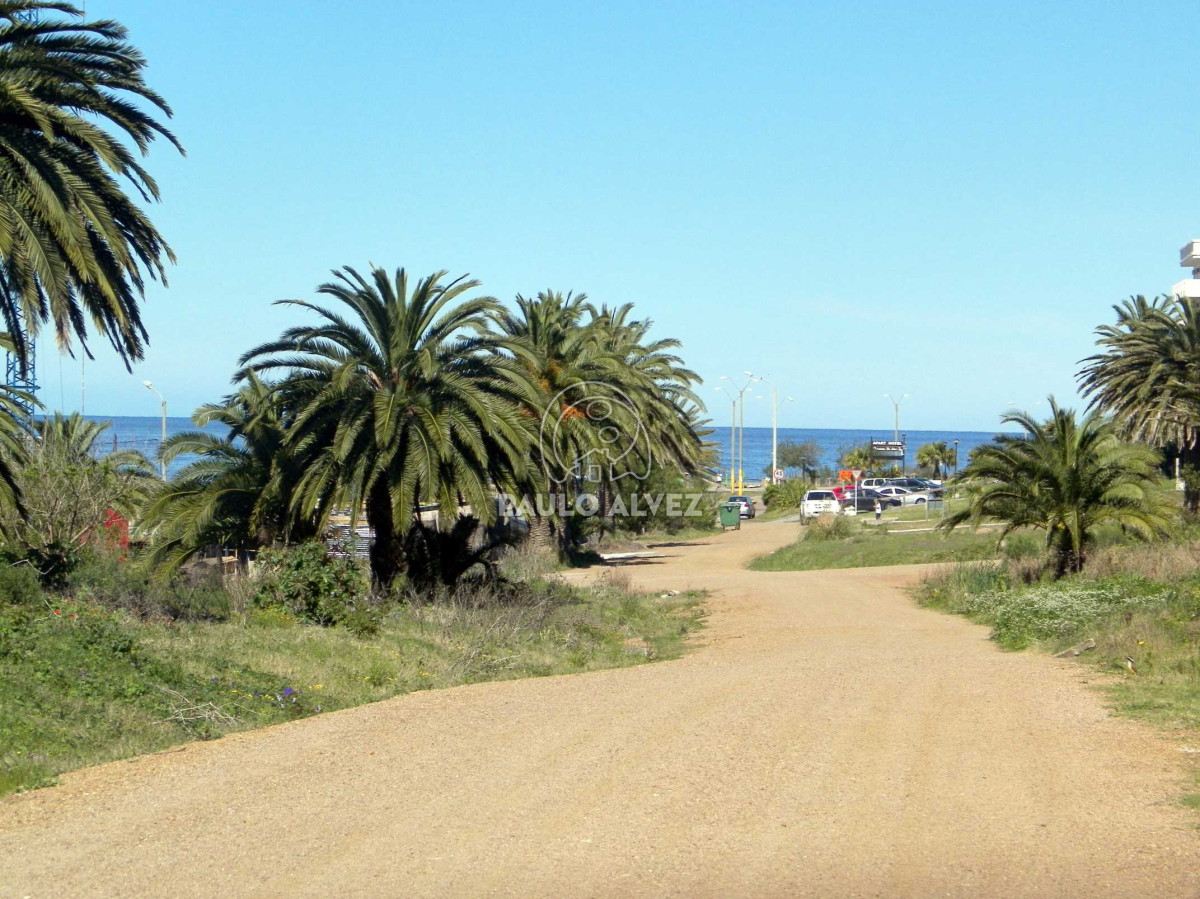 San Francisco - GoPunta - Portal Inmobiliario de Punta del Este - Maldonado