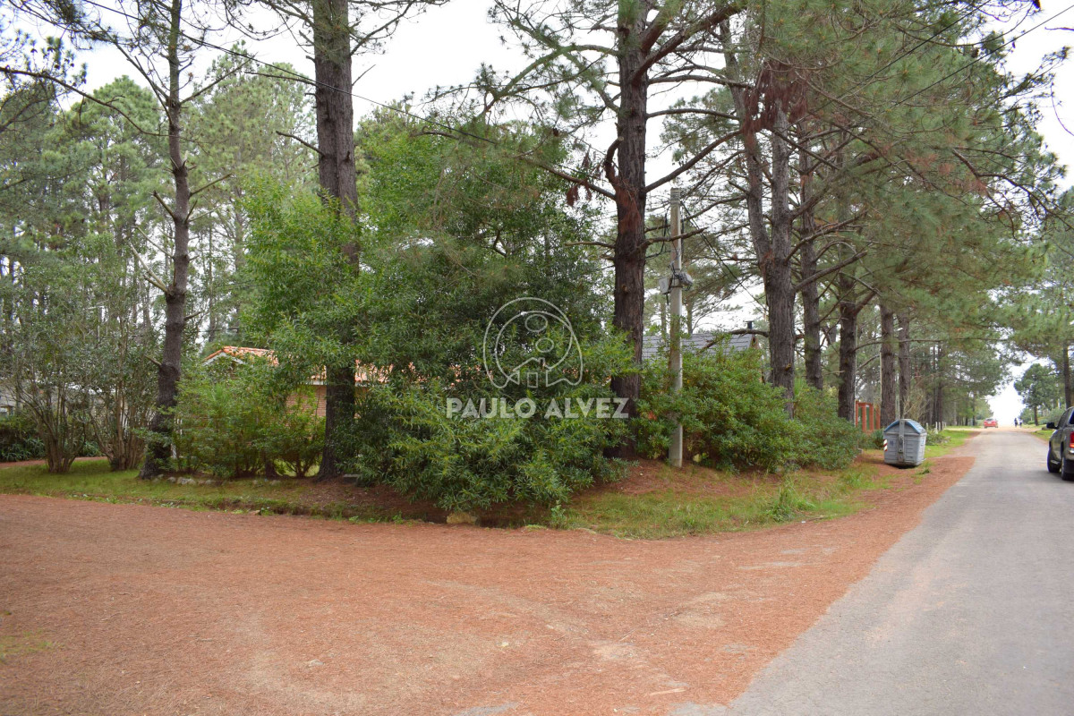 Piriápolis - GoPunta - Portal Inmobiliario de Punta del Este - Maldonado