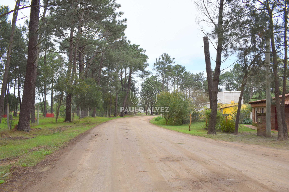 Piriápolis - GoPunta - Portal Inmobiliario de Punta del Este - Maldonado