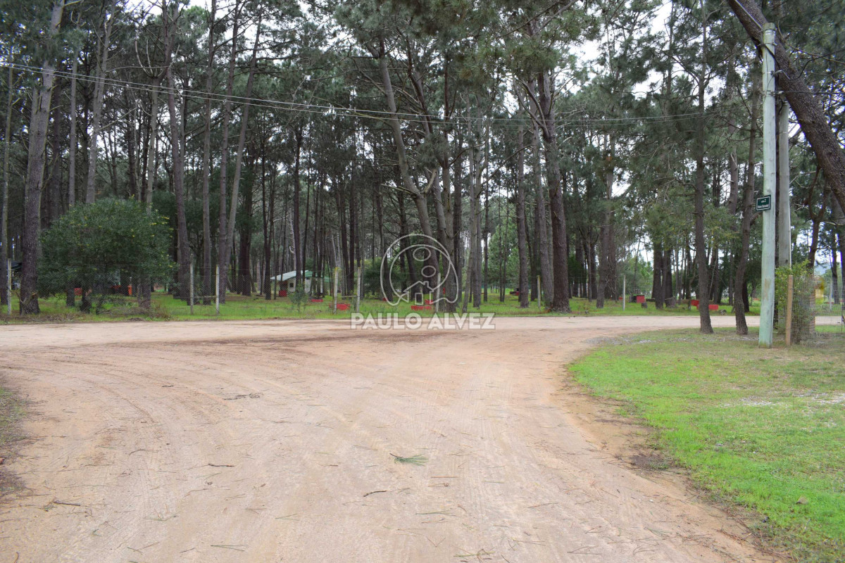 Piriápolis - GoPunta - Portal Inmobiliario de Punta del Este - Maldonado