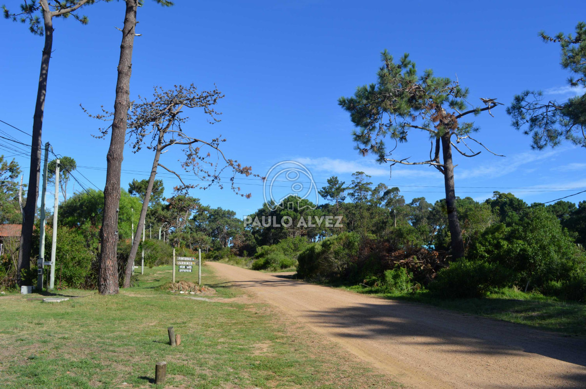 Punta Colorada - GoPunta - Portal Inmobiliario de Punta del Este - Maldonado