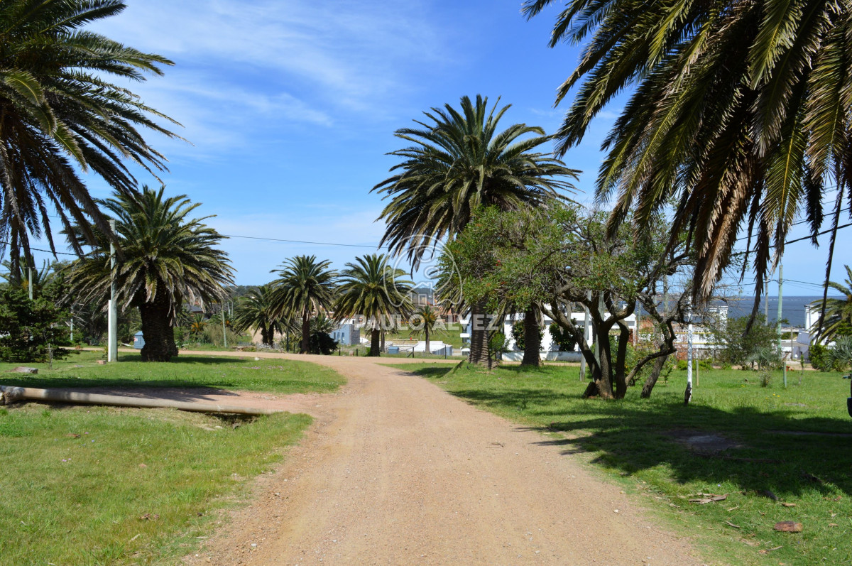 San Francisco - GoPunta - Portal Inmobiliario de Punta del Este - Maldonado