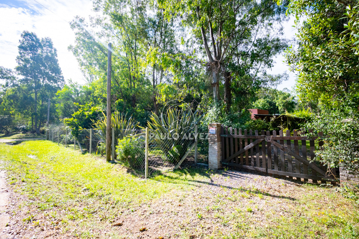 Bella Vista - GoPunta - Portal Inmobiliario de Punta del Este - Maldonado