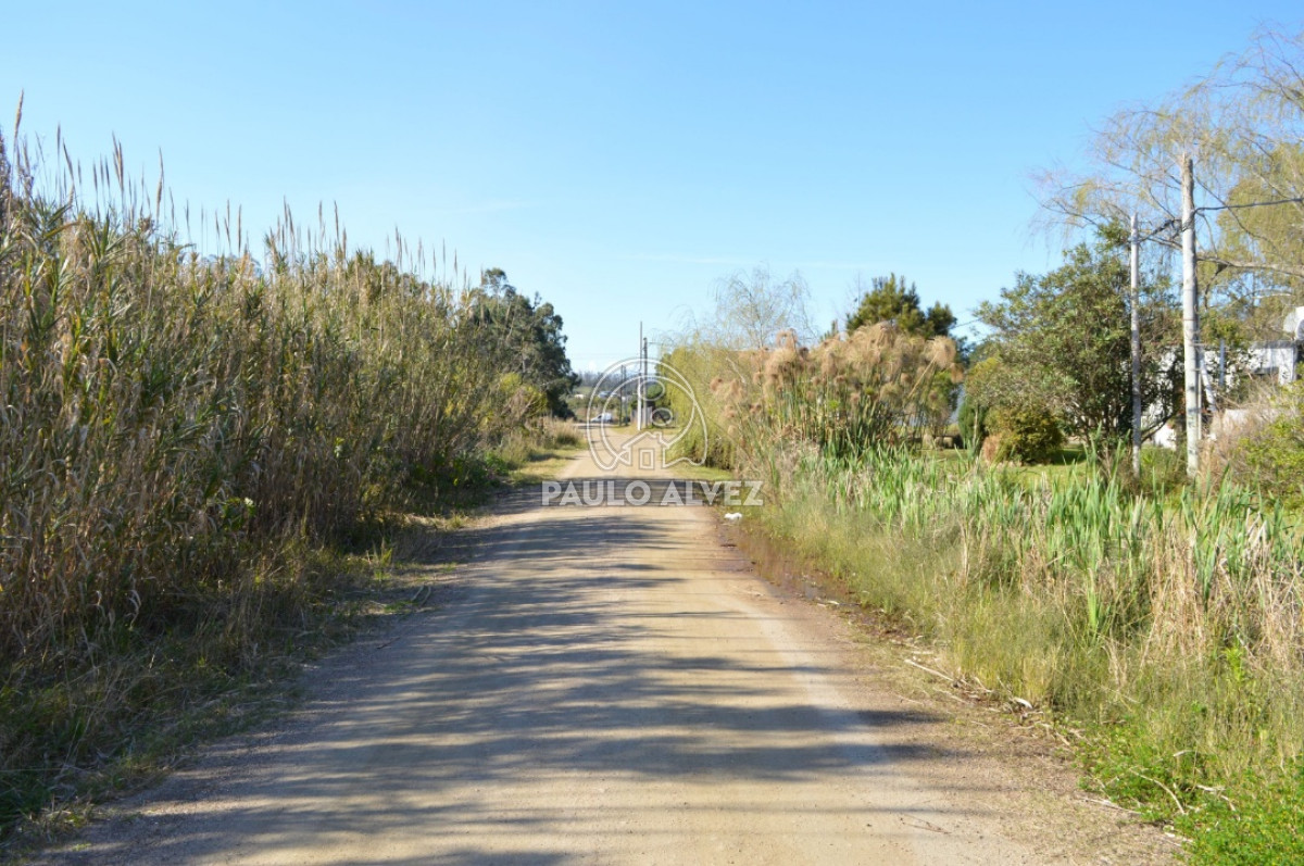 Punta Colorada - GoPunta - Portal Inmobiliario de Punta del Este - Maldonado