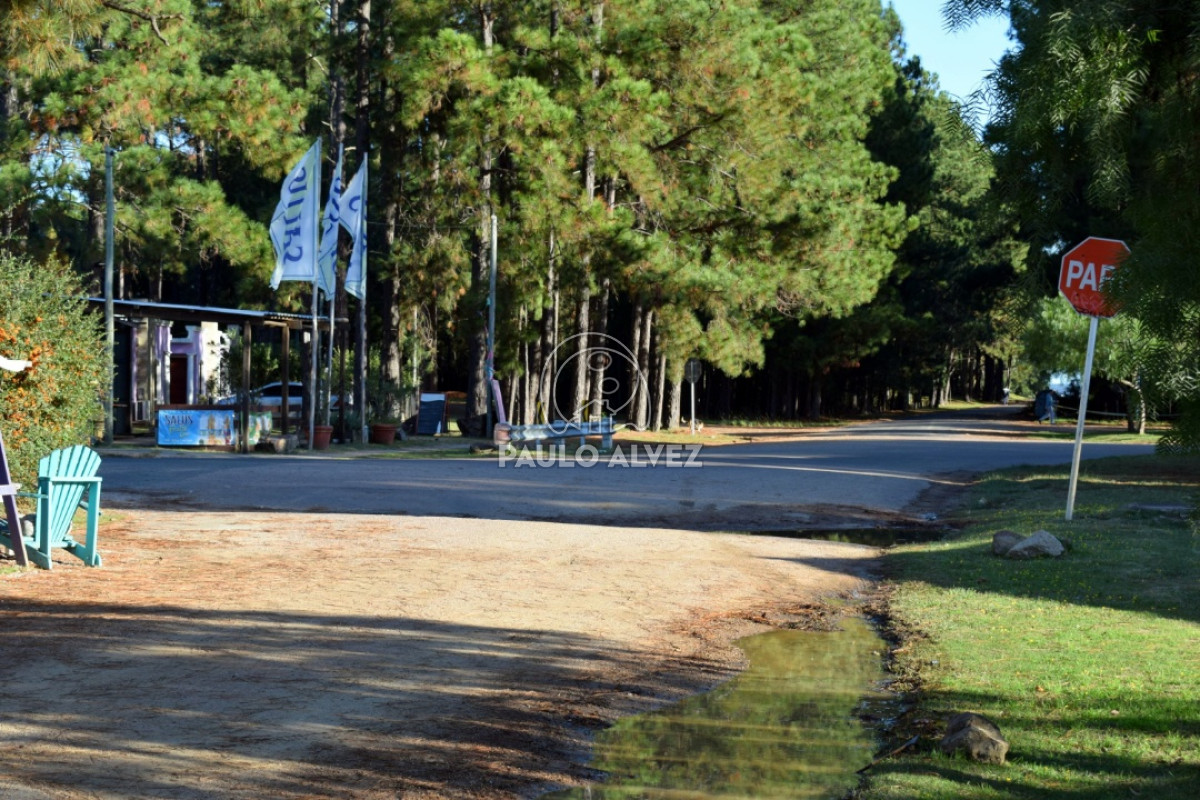 Piriápolis - GoPunta - Portal Inmobiliario de Punta del Este - Maldonado